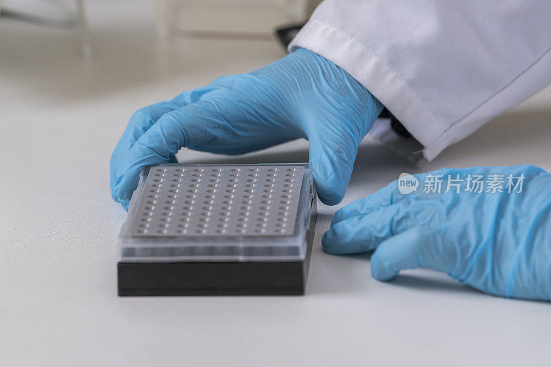 Two hand holding  a PCR plate with samples in a scientific laboratory. Lab technician, labcoat, science, biotechnology, biochemistry, analysing, DNA analysis,scientific, research and development